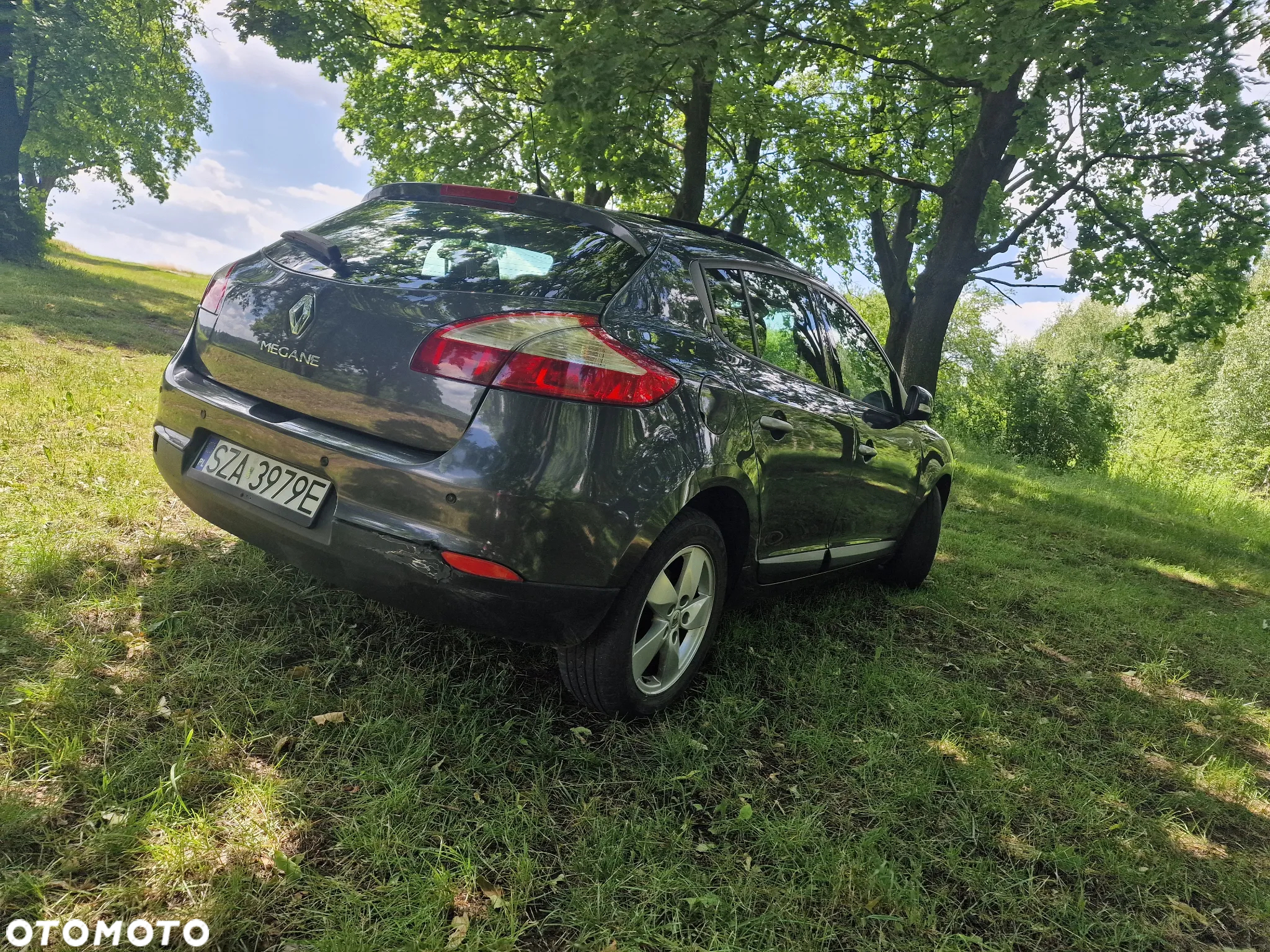 Renault Megane - 5