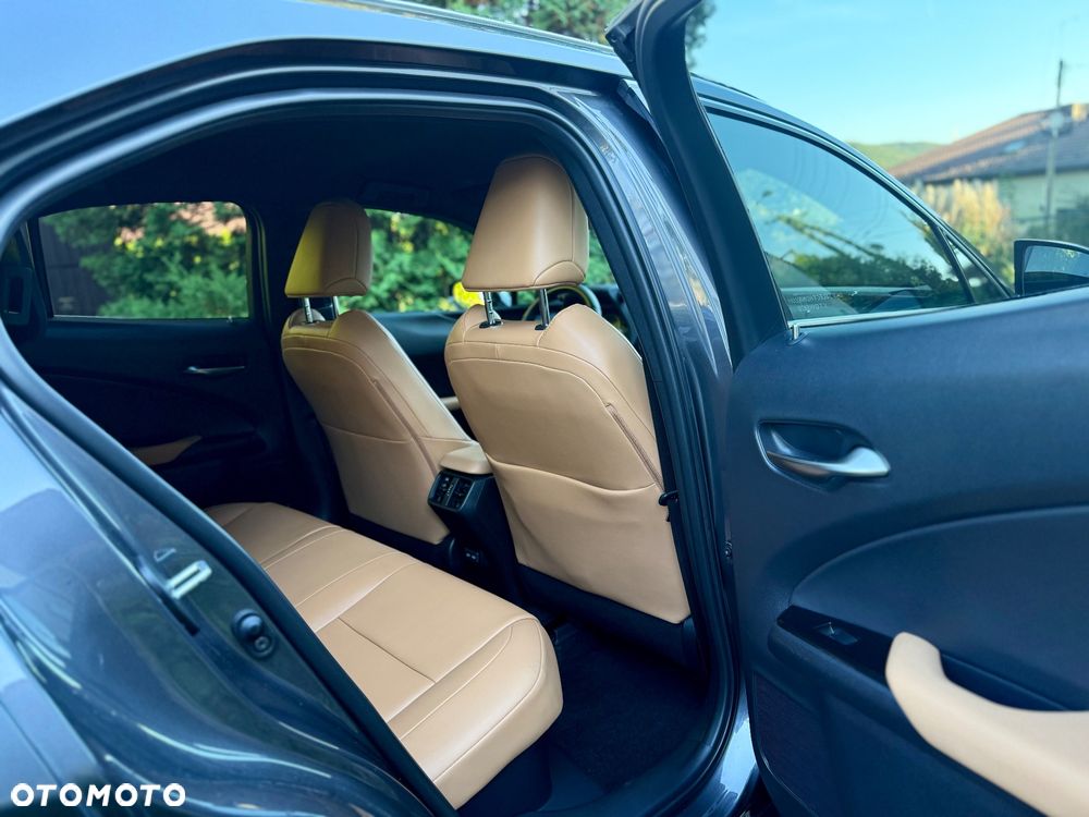 Lexus UX 250h GPF F Sport Design+ 2WD - 23