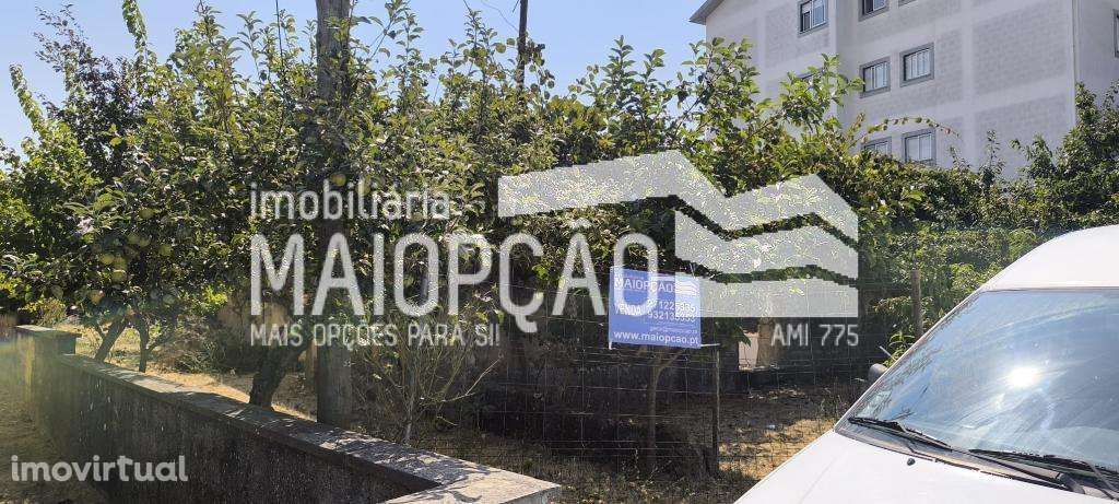 LOTE COM RUINAS PARA MORADIA OU PRÉDIO - Grande imagem: 2/19