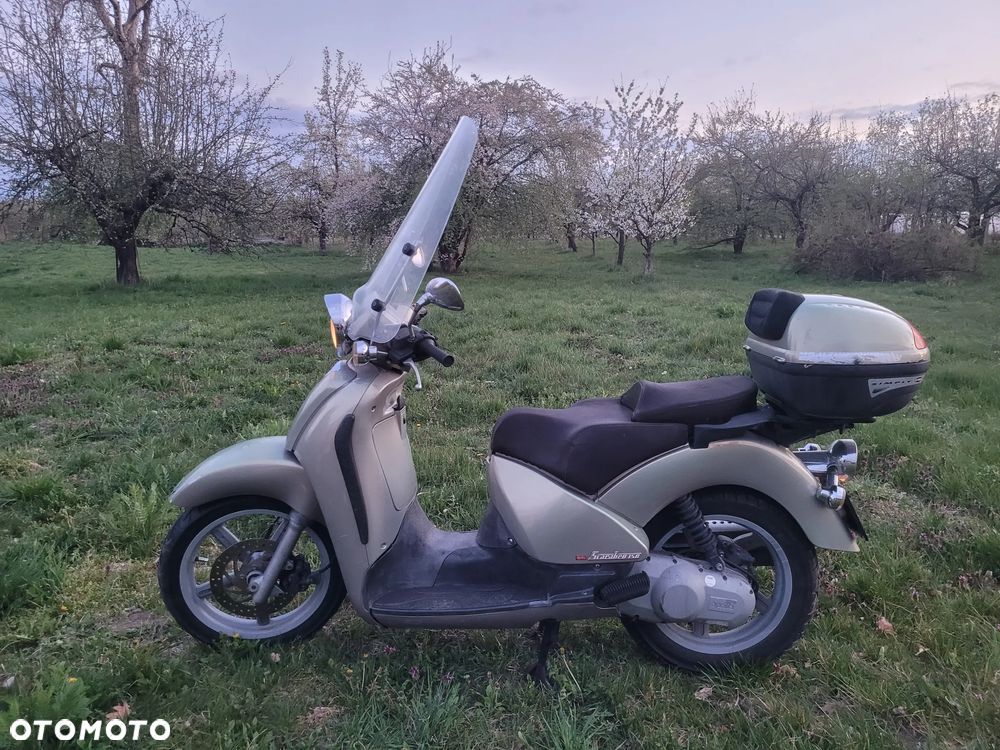 Aprilia Scarabeo - 4