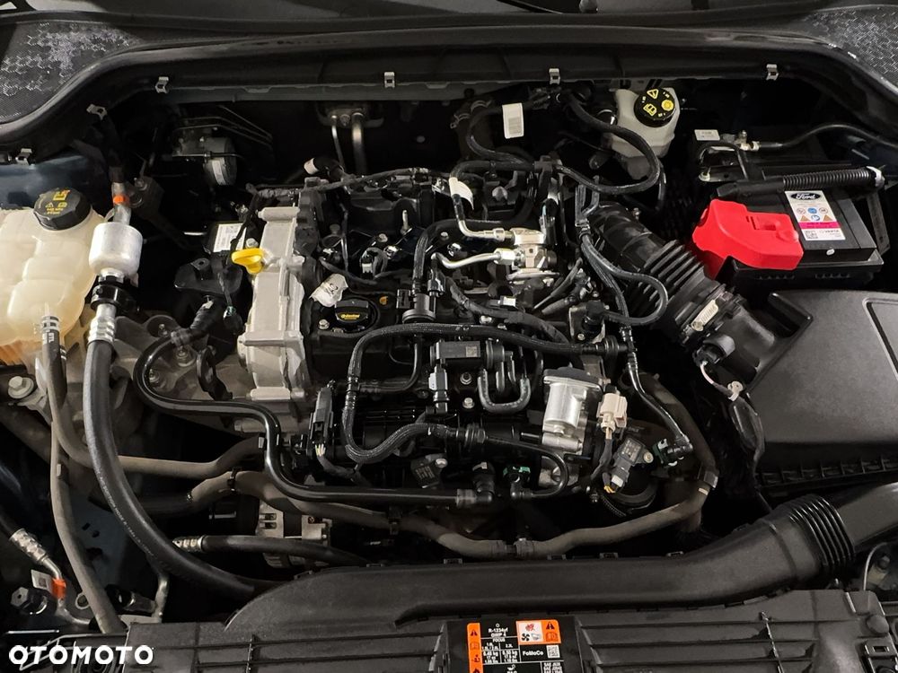 Ford Focus - 30