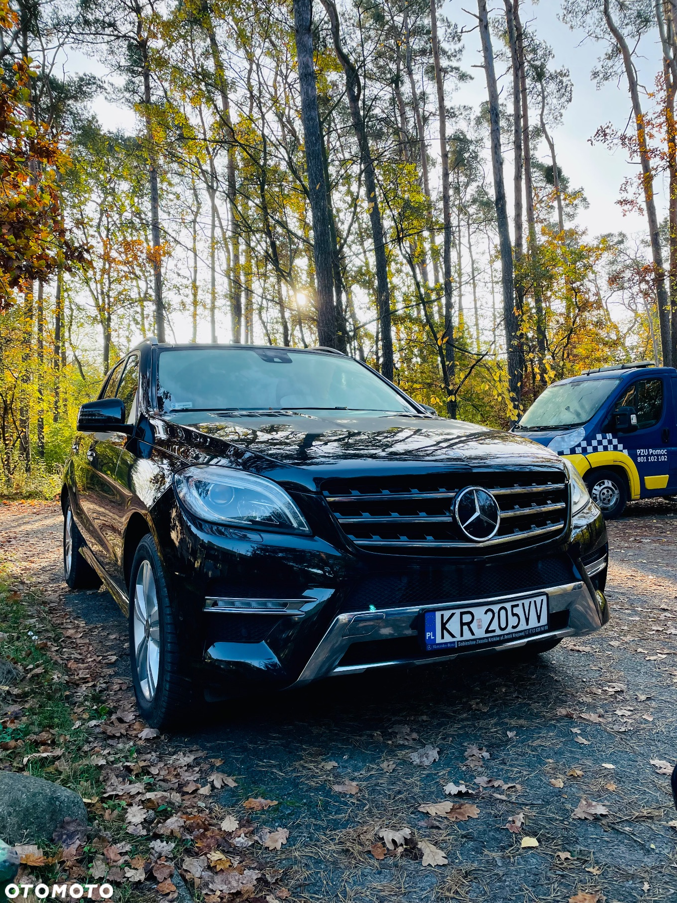 Mercedes-Benz ML 350 BlueTec 4-Matic - 13