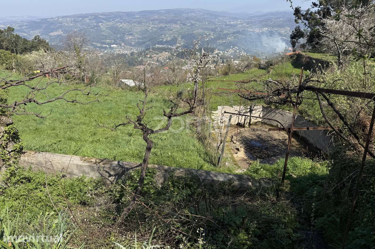 Terreno de 1ha com casa e ruína, centro de Cinfães. - Grande imagem: 5/29
