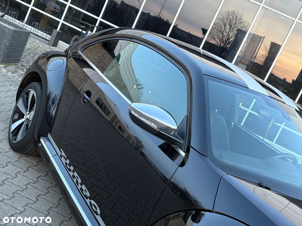 Volkswagen Beetle - 10