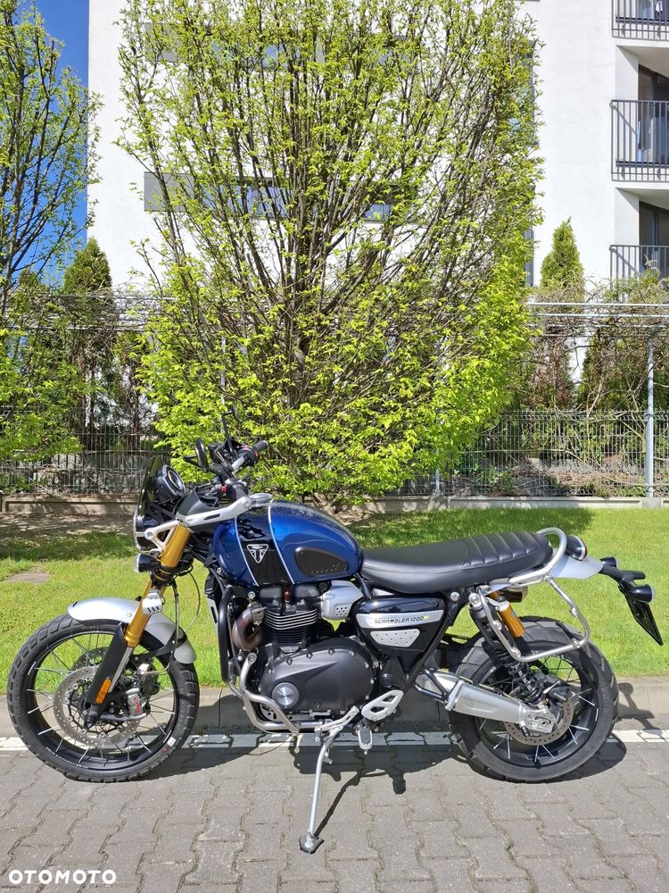 Triumph Scrambler - 4