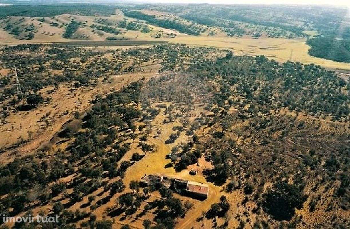 Quinta T4 para venda - Grande imagem: 4/8