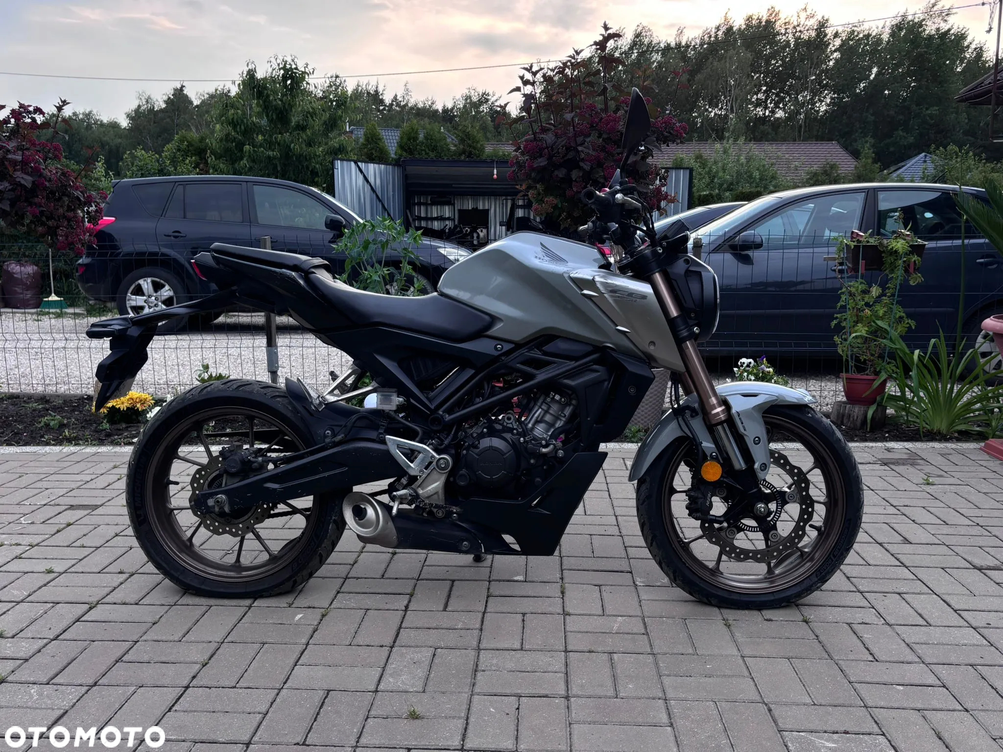Honda CBF - 3