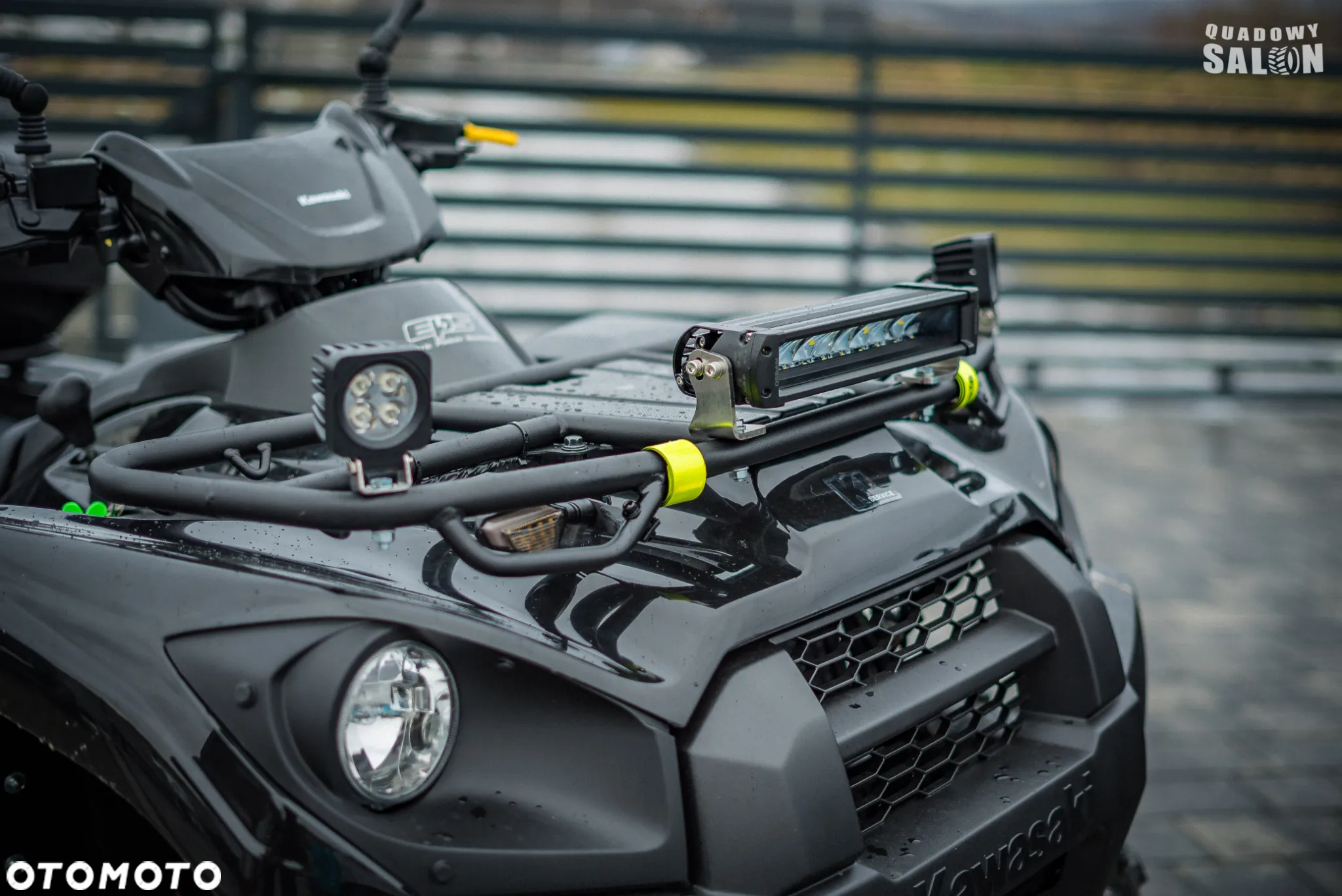 Kawasaki Brute Force - 34