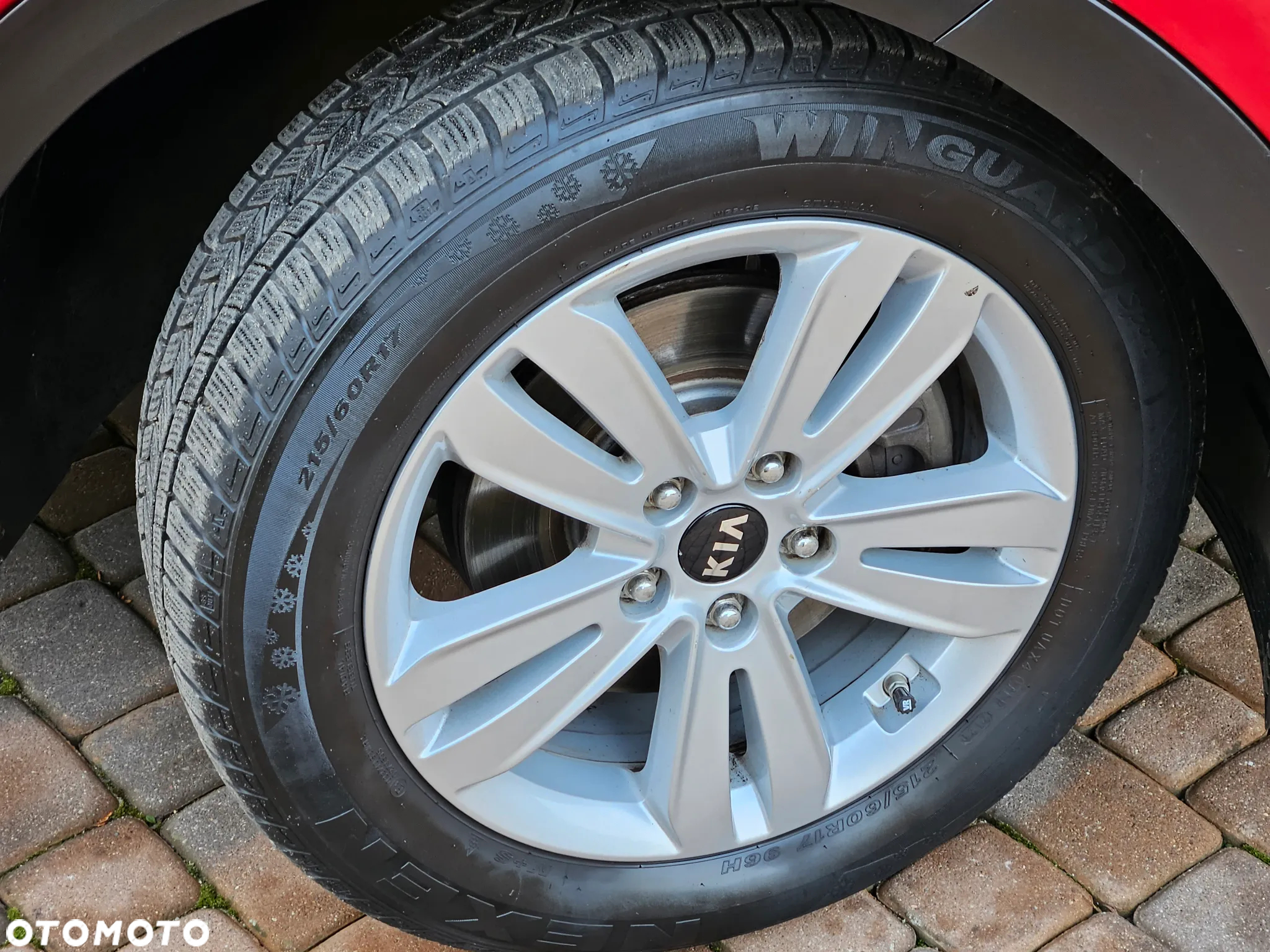 Kia Sportage - 30
