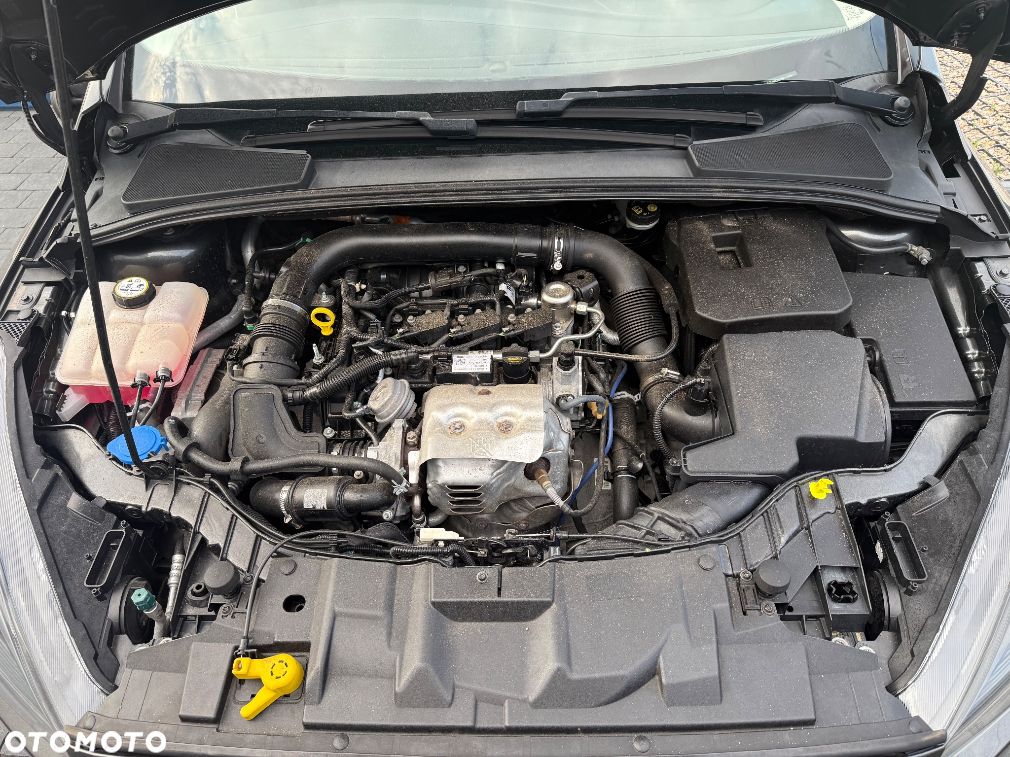Ford Focus 1.0 EcoBoost Titanium ASS - 30