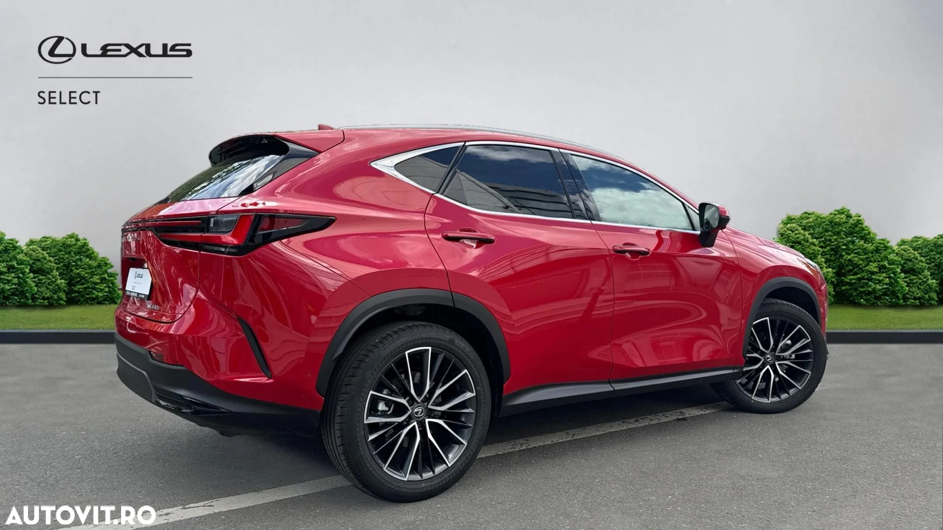 Lexus Seria NX 350h AWD CVT HEV Luxury - 25