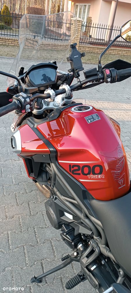 Triumph Tiger - 5