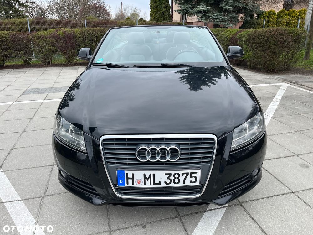 Audi A3 Cabrio 1.6 Ambition - 13
