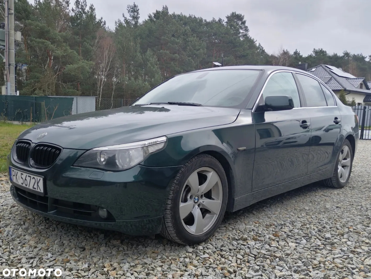 BMW Seria 5 545i - 8