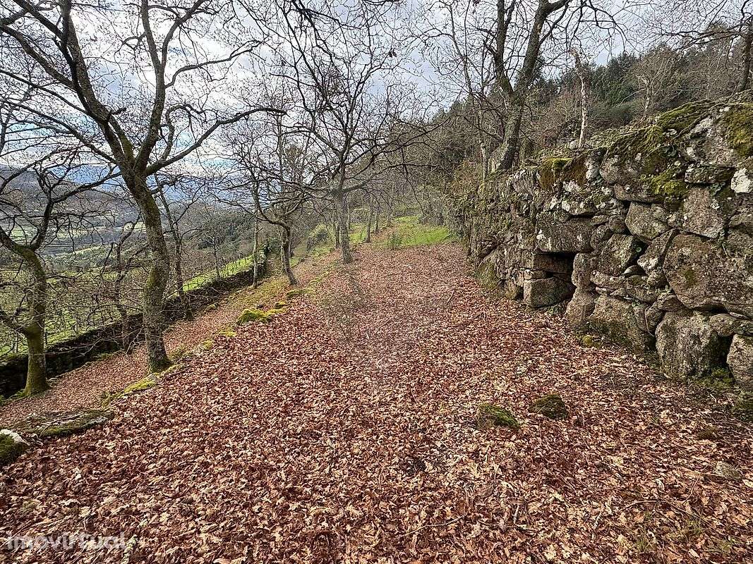 Terreno  para venda - Grande imagem: 2/24