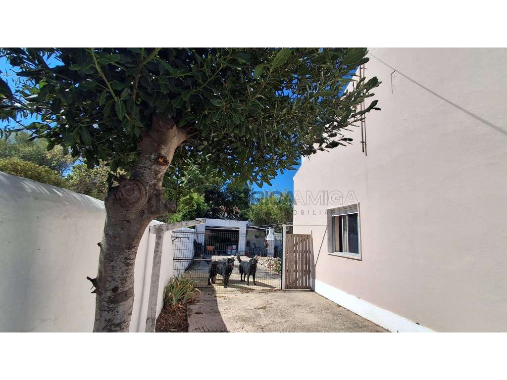 Moradia V3 com 117 m² e terreno de 650 m² em Salir - Grande imagem: 5/31