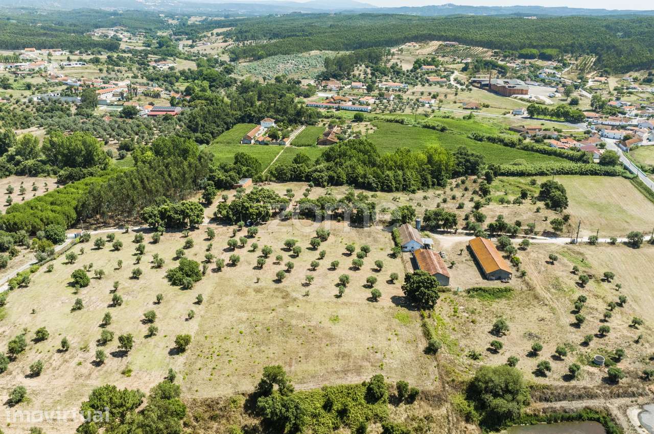 Terreno Rústico em Fráguas, Rio Maior com 12.880m2 - Grande imagem: 4/17