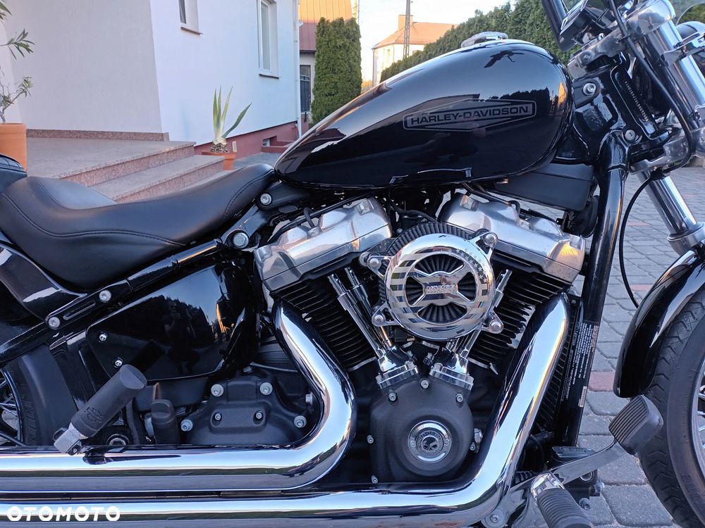 Harley-Davidson Softail Standard - 3