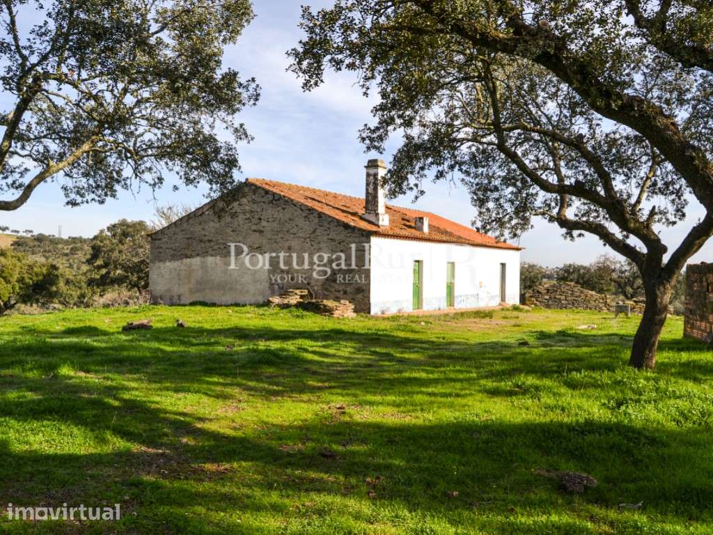 Herdade de 60 ha e monte, em Reguengos de Monsaraz - Grande imagem: 2/29
