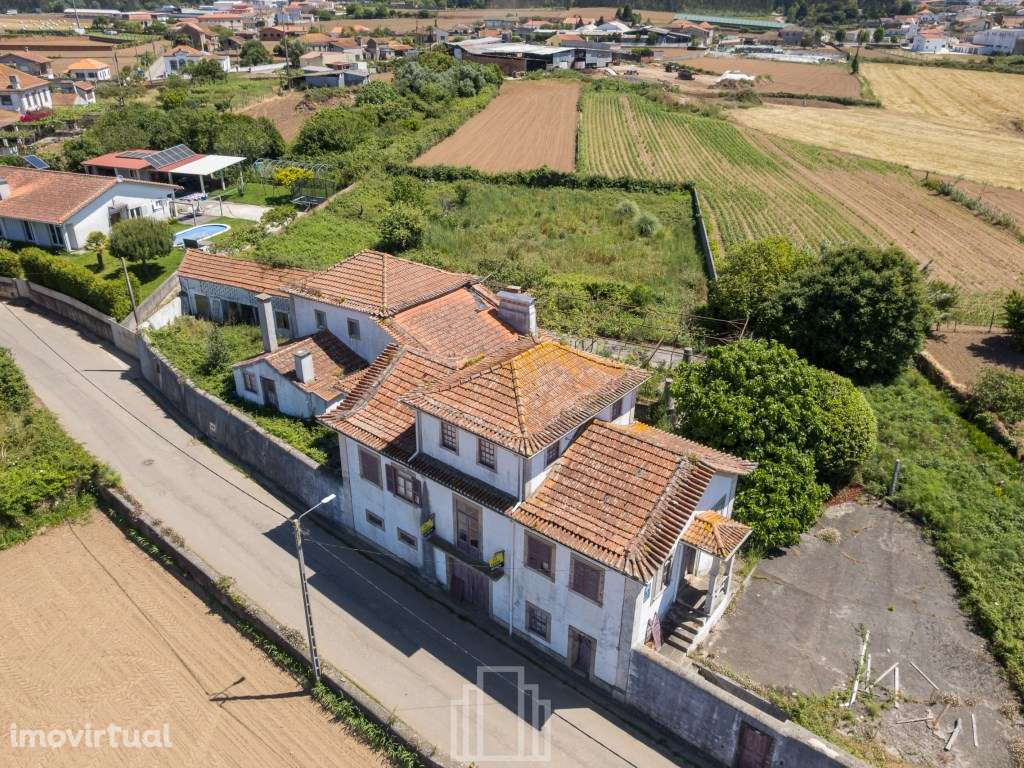 Quintinha T6 - Válega - Grande imagem: 2/53