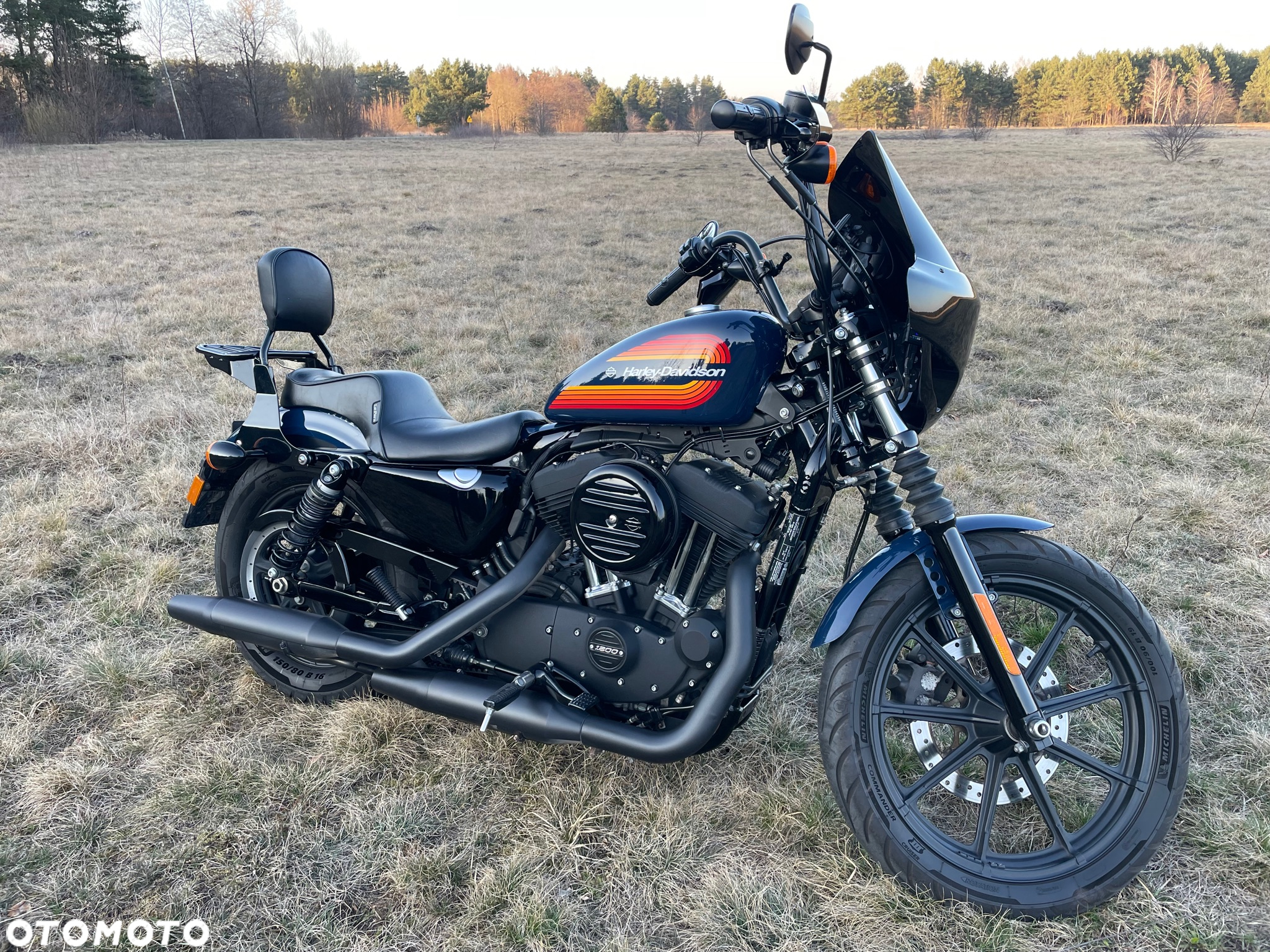 Harley-Davidson Sportster Iron 1200 - 12