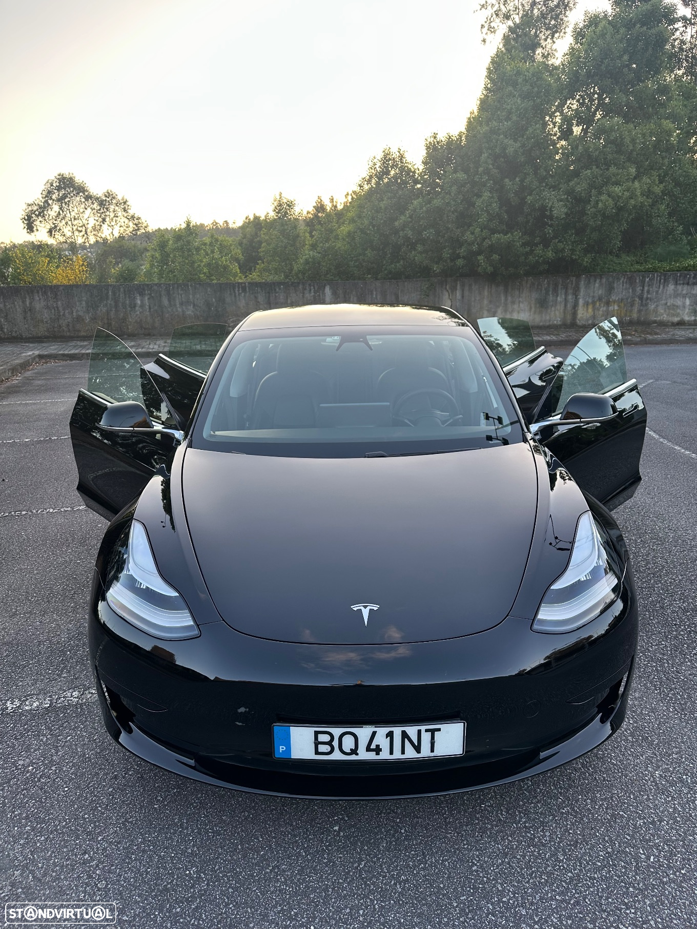Tesla Model 3 Standard Range Plus RWD - 2