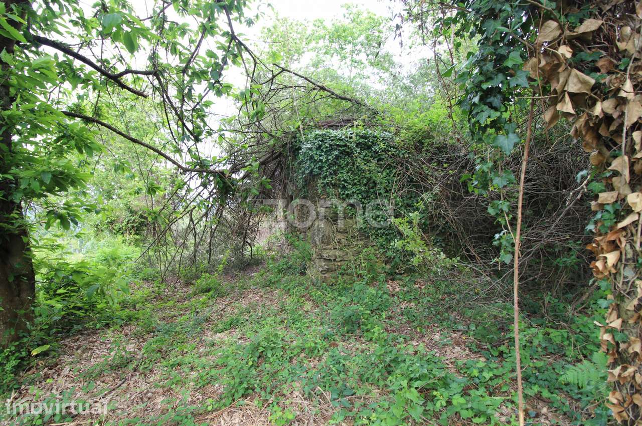 Moradia em Ruinas para recuperar em Rebordões (Souto)-Ponte de Lima