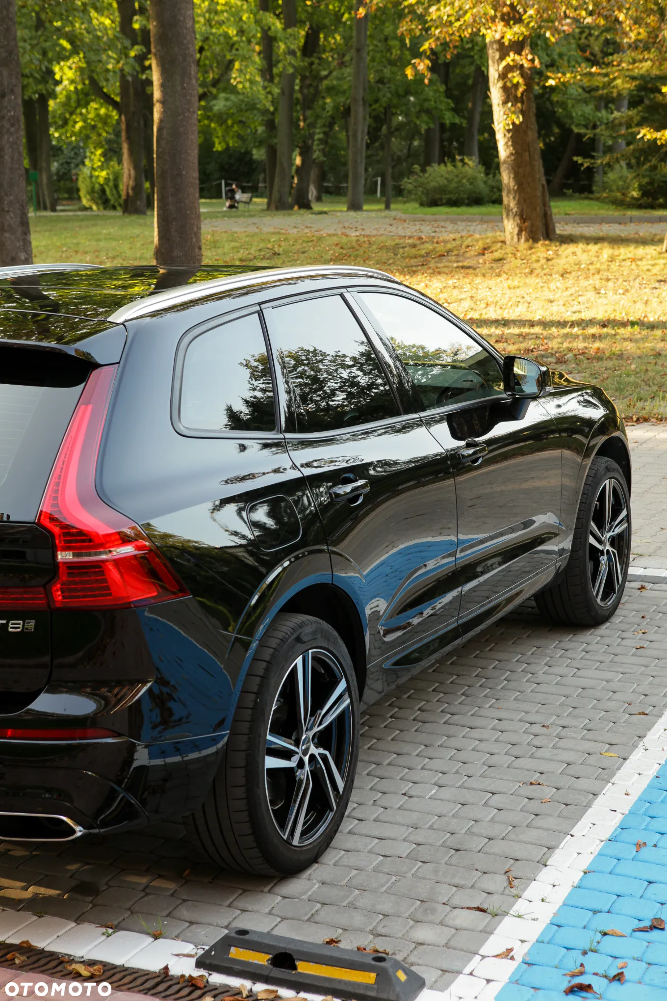 Volvo XC 60 T8 AWD Plug-In Hybrid Momentum Pro - 6