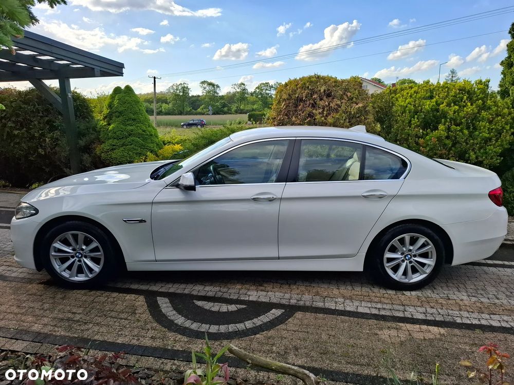BMW Seria 5 518d Advantage - 23