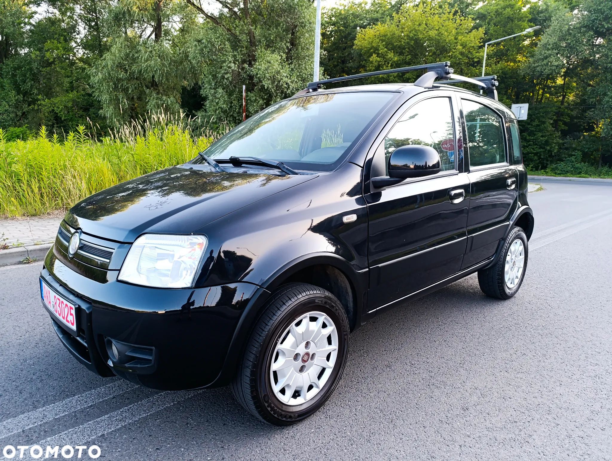 Fiat Panda 1.2 4x4 Climbing - 1