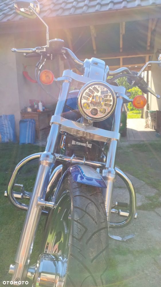Harley-Davidson Sportster Custom 1200C - 8