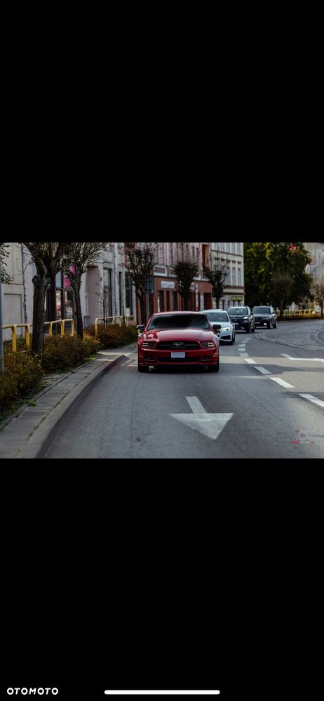 Ford Mustang 3.7 V6 - 3