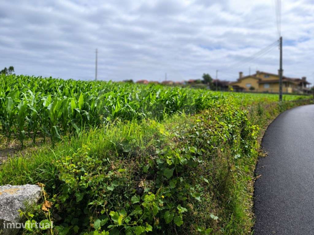 Fantástico Lote com 4.765 m² em Parada Vila do Conde - Grande imagem: 2/28