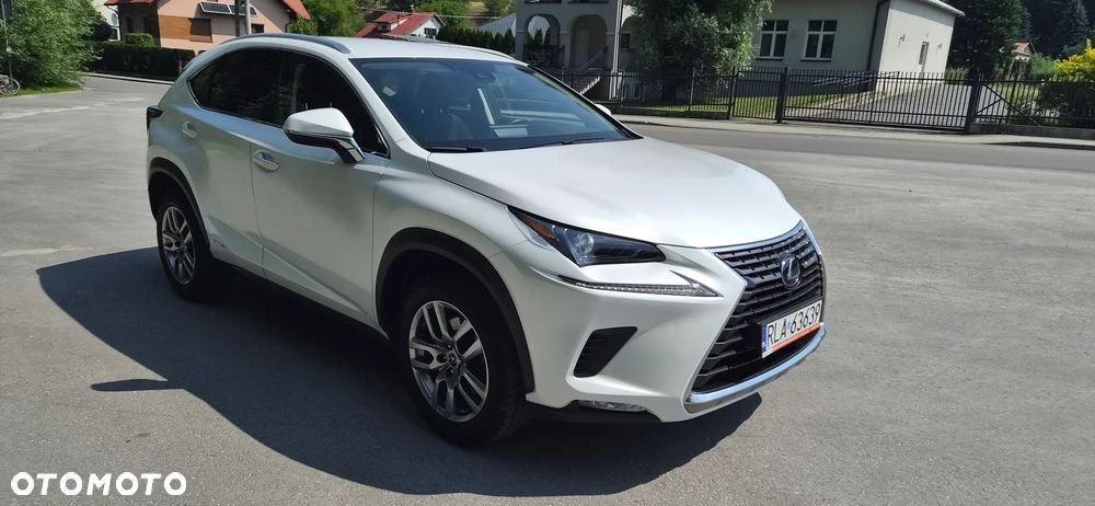 Lexus NX 300h Business Edition AWD - 3