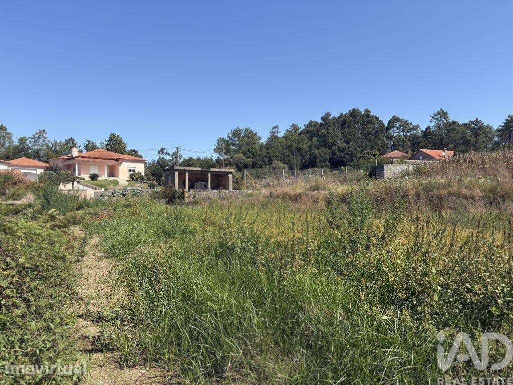 Terreno em Antas - Grande imagem: 5/11