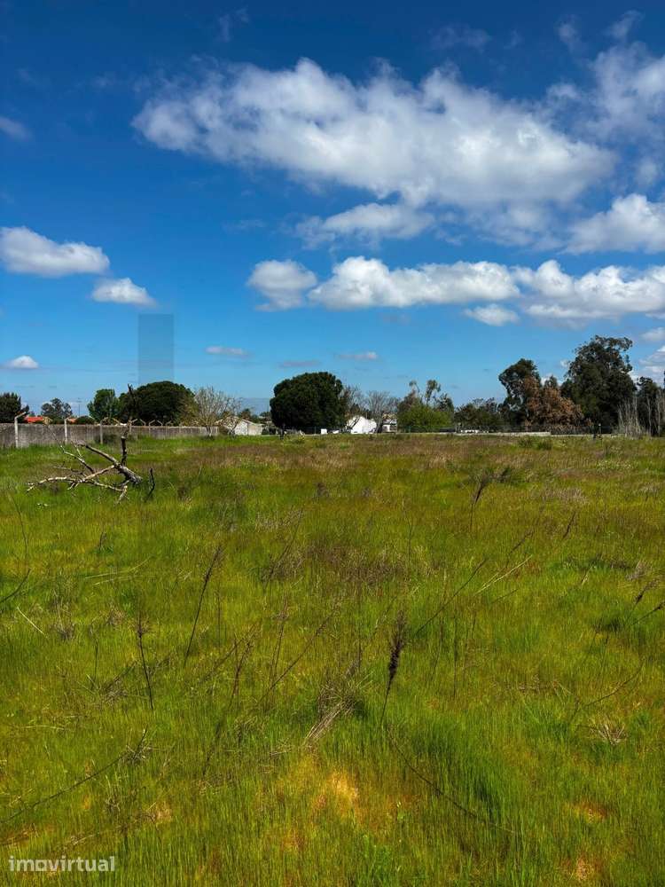 Terreno de 5.880m2 em Malha Urbana | PIP em Processo de Aprovação - Grande imagem: 5/11
