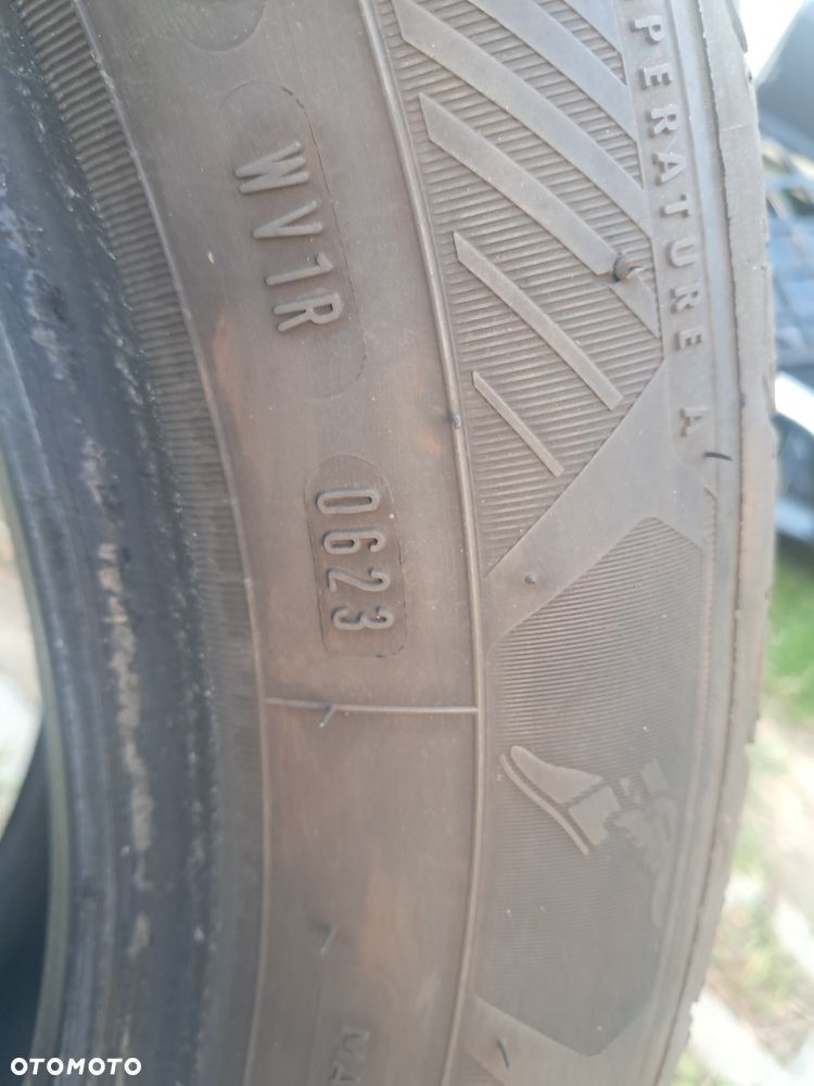 Opona pojedyncza Opona Goodyear Efficientgrip Performance 2 205/55/16 205/55R16 8mm igła - 5