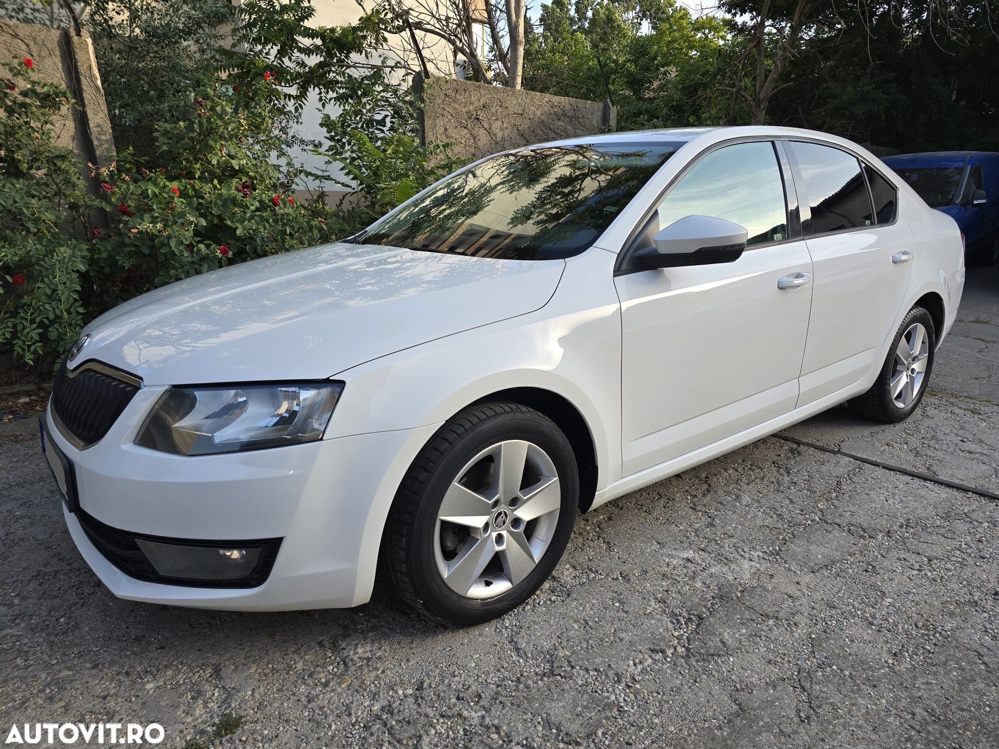 Skoda Octavia 1.6 TDI Ambition - 1