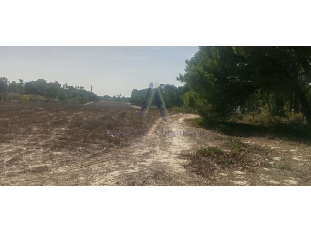Terreno Rústico com 7166m2 - Grande imagem: 4/6