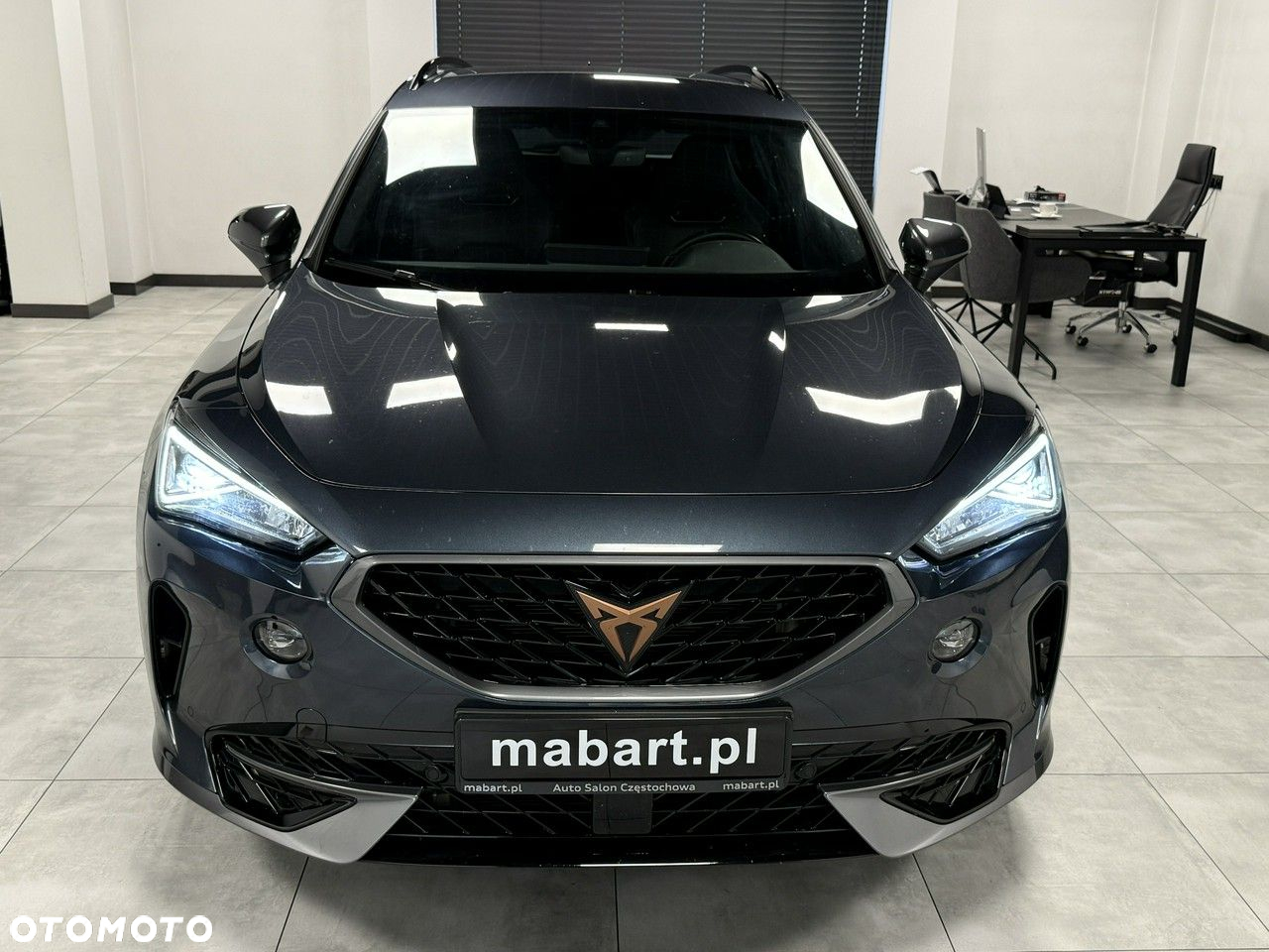 Cupra Formentor 2.0 TSI 4Drive DSG - 9