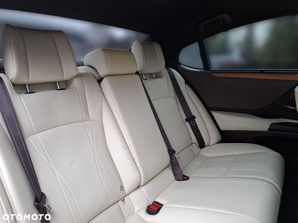 Lexus ES 300h Omotenashi - 17