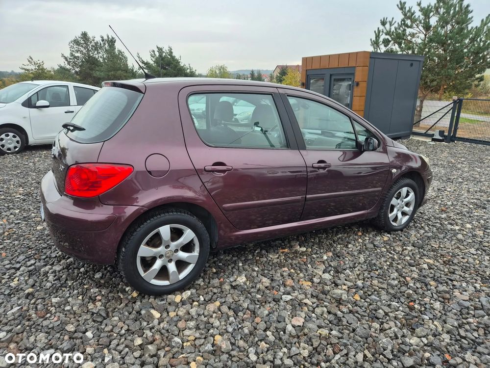 Peugeot 307 1.6 Premium - 4