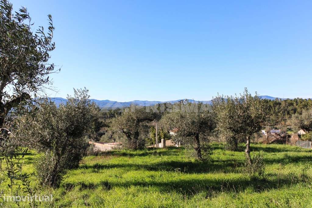 Terreno para Venda em Salgueiro do Campo - Grande imagem: 2/29