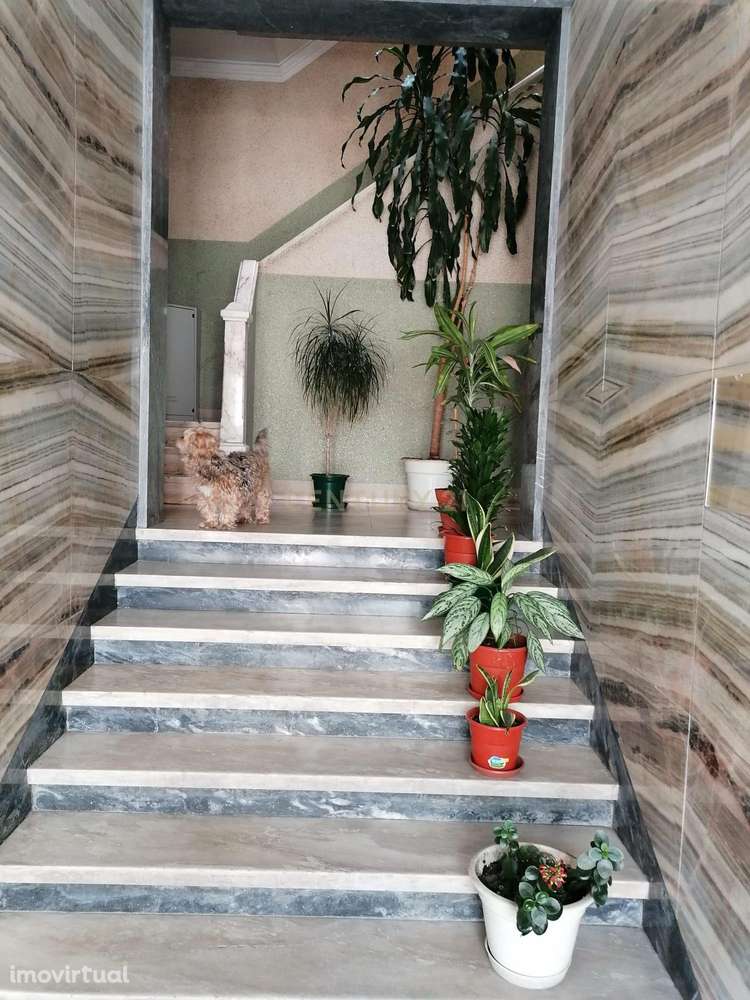 SUSPENSO - Grande imagem: 2/32