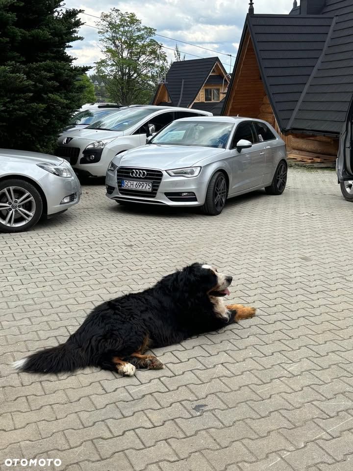 Audi A3 3-drzwiowe 2.0 TDI (clean diesel) S tronic Ambiente - 8