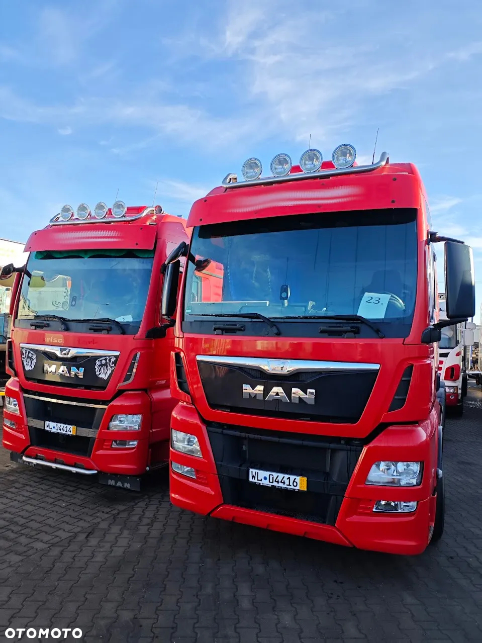 MAN TGX 26.480* chłodnia * izoterma  * thermo king * Carrier * - 10