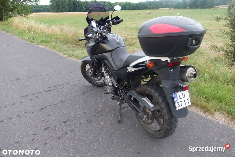 Suzuki DL - 6