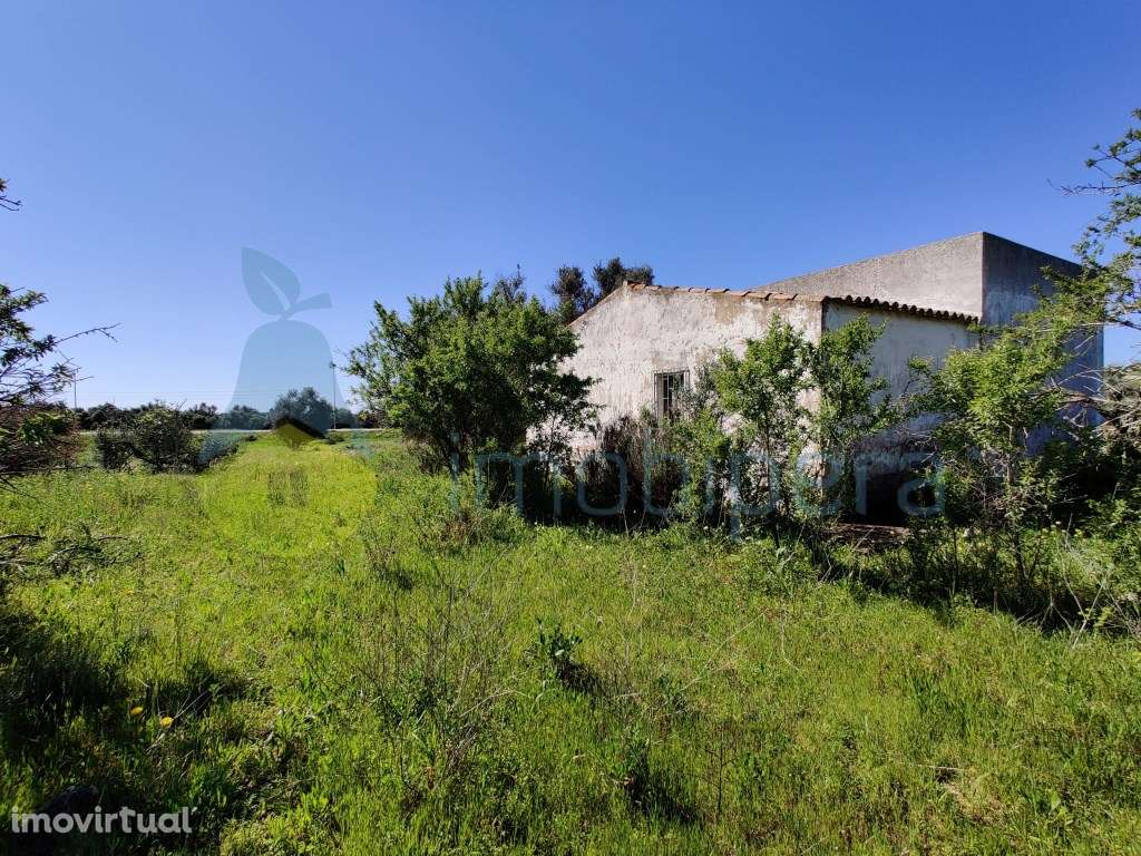 Terreno com Armazem com 11.950 m2 - Armação de Pêra - Sítio da Valim - Grande imagem: 3/21