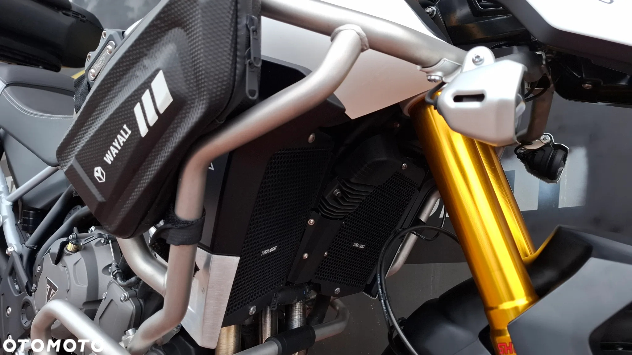 Triumph Tiger - 15