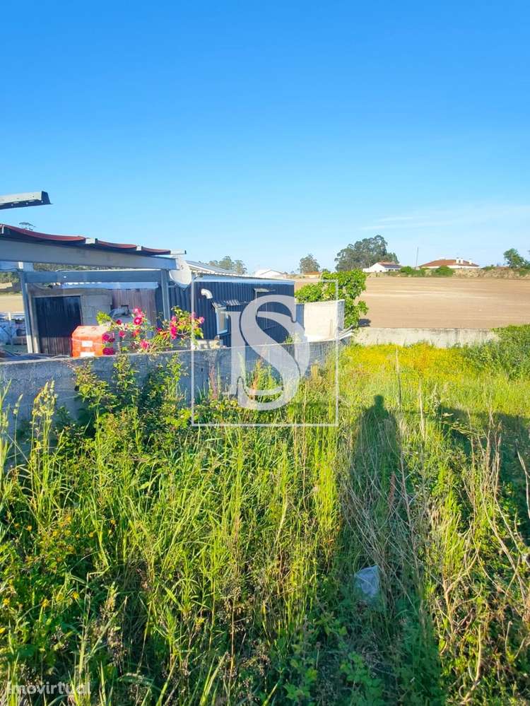 Lote em Parada - Vila do Conde - Grande imagem: 3/5